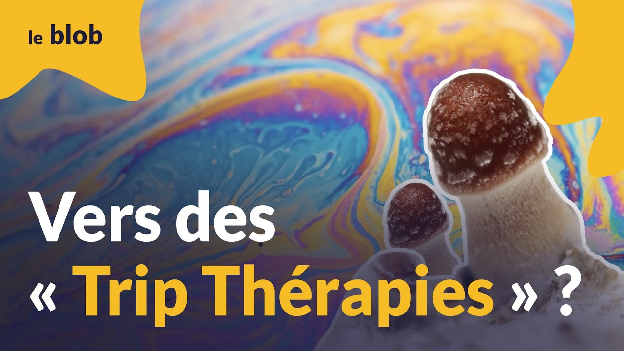 Thérapies psychédéliques : des champignons hallucinogènes testés contre la dépression à St Anne