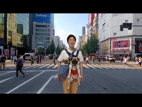 犬を飼って結婚願望を失った30代。近未来ガジェットを手に入れてこうなった