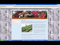 WordPress webinar recording