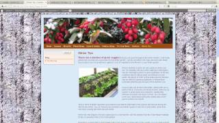 WordPress webinar recording