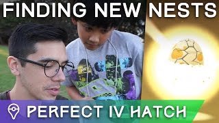 NEW NESTS, INCREASED SPAWNS, & MY 8TH PERFECT IV POKÉMON IN POKÉMON GO