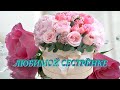 СЕСТРЕ. ТРОГАТЕЛЬНОЕ ВИДЕО🌟