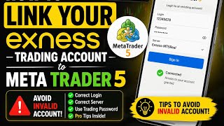 How to Link Your Exness Account to Metatrader 5 (MT5) in 2026 | Fix "Invalid Account" Error