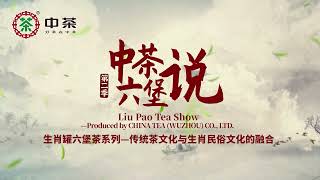 Liu Pao Tea Show Season 2-- Liu pao tea associated with 12 zodiac symbols /中茶六堡说第二季--- 生肖罐六堡茶