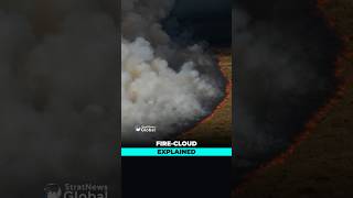 What is a fire cloud The new threat behind Europe's wildfires | #shorts #firecloud #wildfires