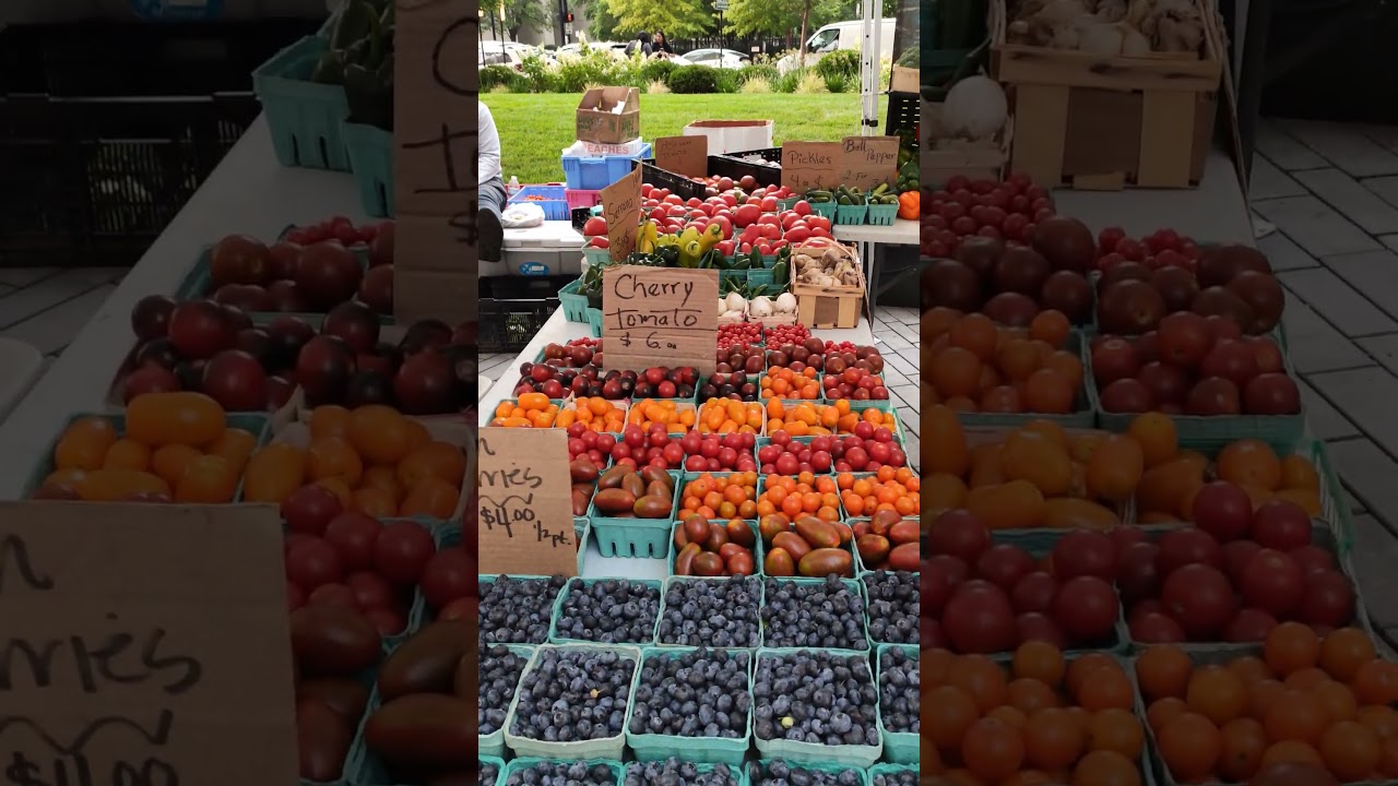 WEEEKEND MARKET at Presidential Towers, Downtown Chicago, USA.  