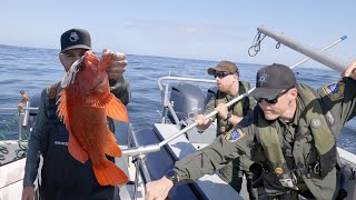 Fishing for Rockfish - Boarded by Fish and Game!