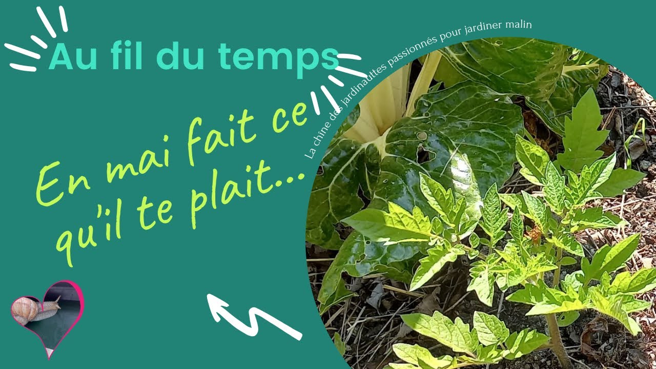 En mai fait ce qu'il te plait, ou pas... - YouTube