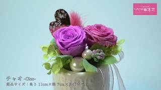 【母の日 プレゼント】プリザーブドフラワー／チャオ