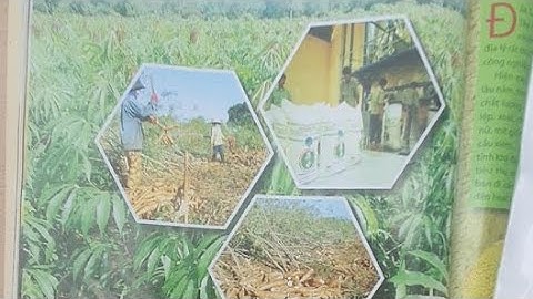 Biogas wastewater tapioca starch tiếng việt là gì năm 2024