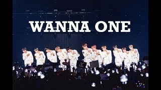 Good Job Wanna One 워너원! (Try Not To Cry)