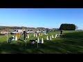 Small Munsterlander Flyball 24/3/19 の動画、YouTube動画。