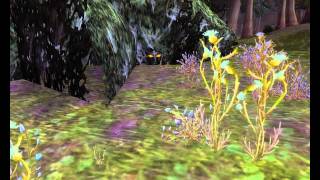 World Of Warcraft Cataclysm - What The Hell Is That? Tirisfal Glade