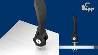 KIPP Cam levers with quick lock 快速鎖定型偏心把手