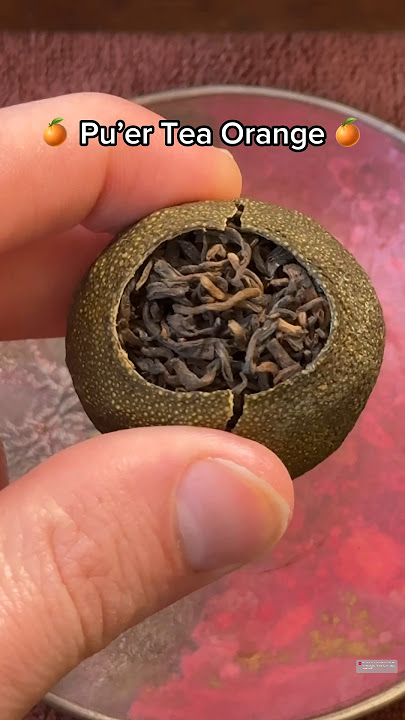 Download lagu Enjoy your tea oranges!!! #tea #orange #xiaoqinggan #jessesteahouse #gongfutea #chinese #asian #puer