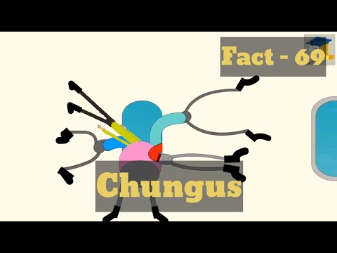 Interesting Fact Time: THE LOST EPISODE