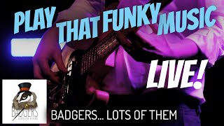 Play That Funky Music [Wild Cherry] // Badgers... Lots Of Them // LIVE COVER