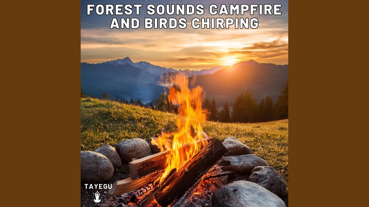 Forest Sounds Campfire and Birds Chirping Morning Camping 1 Hour Relaxing Nature Ambient Yoga...