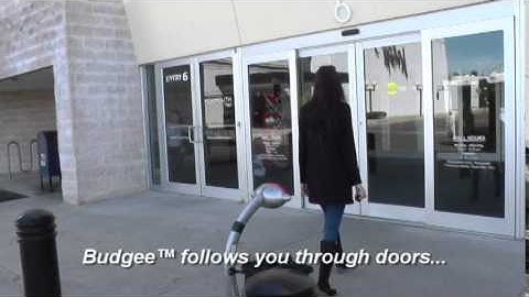 The Robotic Shopping Cart Budgee