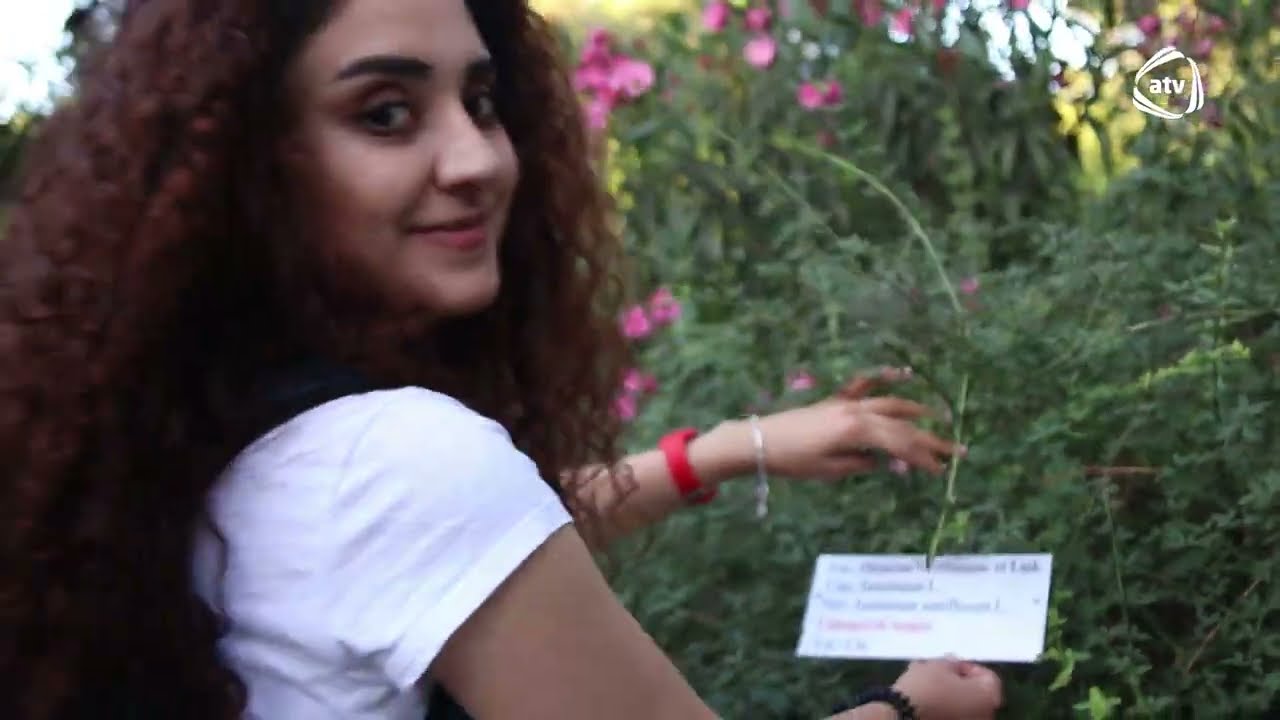 HARA GEDƏK ? - MƏRDƏKAN DENDRARİSİ #13