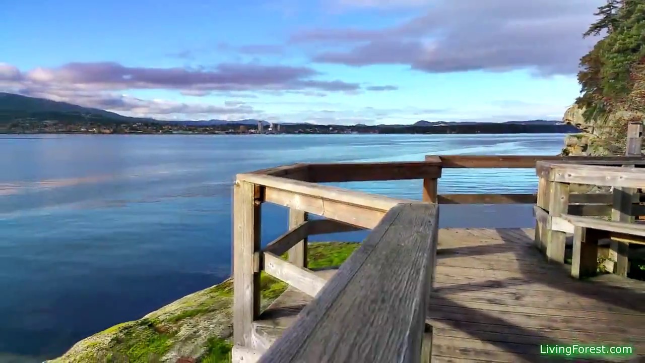 Jack Point and Biggs Park winter walk best sunsets and waterfront