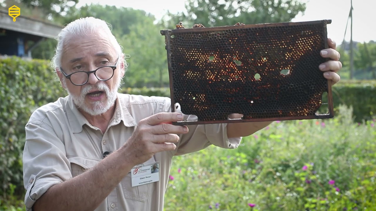 Imkersbond Deinze vzw - De gesloten waskringloop - Deel 2