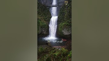 والذين آمنوا وعملوا الصالحات سندخلهم جنات تجري من تحتها الأنهار🌺|#تلاوه_مؤثره|#ياسرالدوسري|#ستوريات