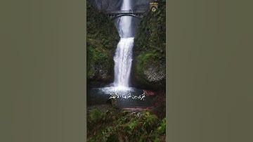 والذين آمنوا وعملوا الصالحات سندخلهم جنات تجري من تحتها الأنهار🌺|#تلاوه_مؤثره|#ياسرالدوسري|#ستوريات