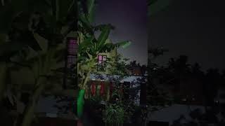#bananatrees #nature #bollywoodsongs #darkness