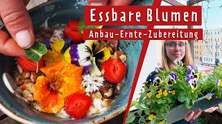 Essbare Blumen Anbauen, Ernten Und Zubereiten Im Freiland Und Auf Dem Balkon Mdr Garten