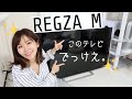 でっけえテレビ買ったぞー！【REGZA 65M540X】