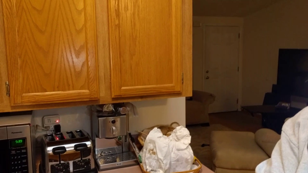 Ninkasi Brewing Company IPA Variety pack - snow-globe edition