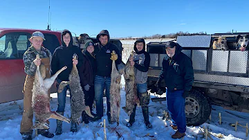 Nebraska Coyote Hunt With Greyhounds  (Awesome Hunt)