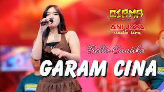 Garam Cina  Sindy  Osama Musik Halal Bihalal Pemuda Raji Demak  Anijaya   Airin Digimedia