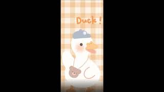 Duck wallpapers