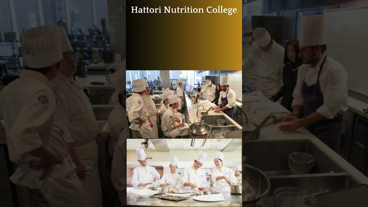 TOP TEN  MOST POPULAR CULINARY SCHOOL  IN THE WORLD 