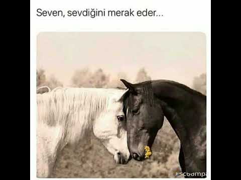 Onu Mene Çok Görme Ey Allahım.. Ölerem Onsuz...