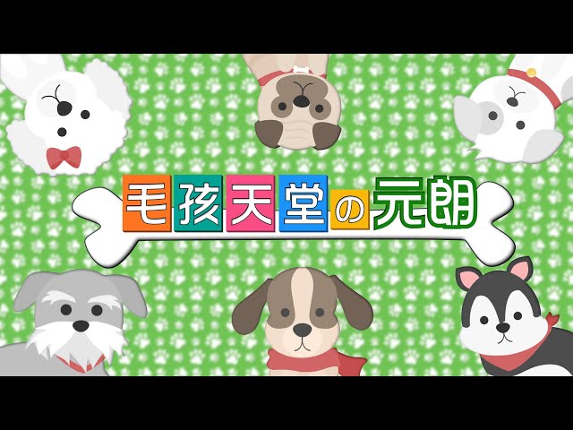 YOHO TOWN 2期 YOHO MIDTOWN 9座 高層 D室 元朗