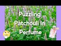 Puzzling Patchouli in Perfume: Sometimes I Love it and Sometimes It's Just Too Much!