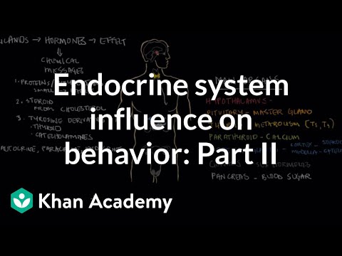 Advanced endocrine system physiology | Health & Medicine | Khan Academy