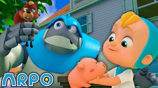 squeak squeak can arpo find secret noise anime compilation