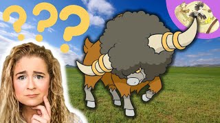 A Bouffalant Pokemon In Real Life? Pokemon Biology