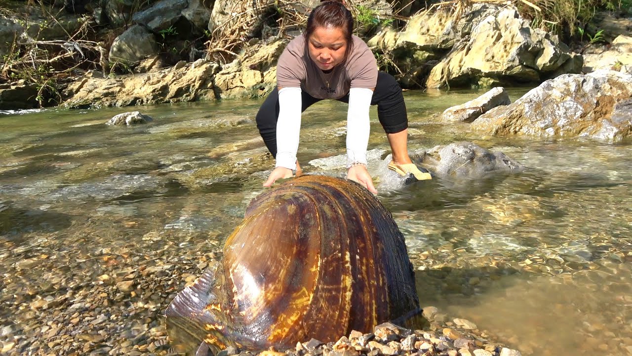 The mining process of freshwater pearls involves pure manual collection of high-quality wild pearls