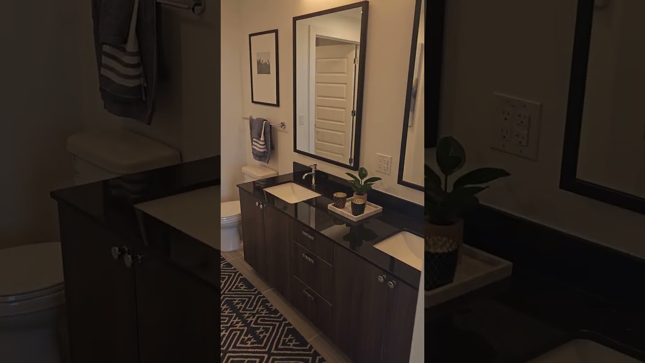 Alexan Waterloo 1 Bedroom Model Apartment 