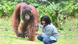 Bucket List Borneo Epic 4D3N Tanjung Puting Adventure Mive Orangutan Up Close On Day 1 Ep. 1