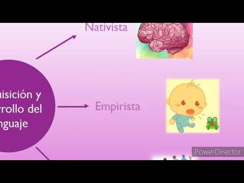 Video: ¿Cómo influye la teoría lingüística nativista en el aprendizaje de idiomas?