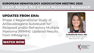 Phase 2 Study of Anitocabtagene Autoleucel for Relapsed/Refractory Multiple Myeloma: iMMagine-1