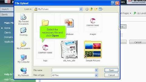 micfo | how to add a custom logo in Plesk reseller control panel