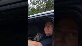 Police Officer pulls over his chief for speeding. #shorts