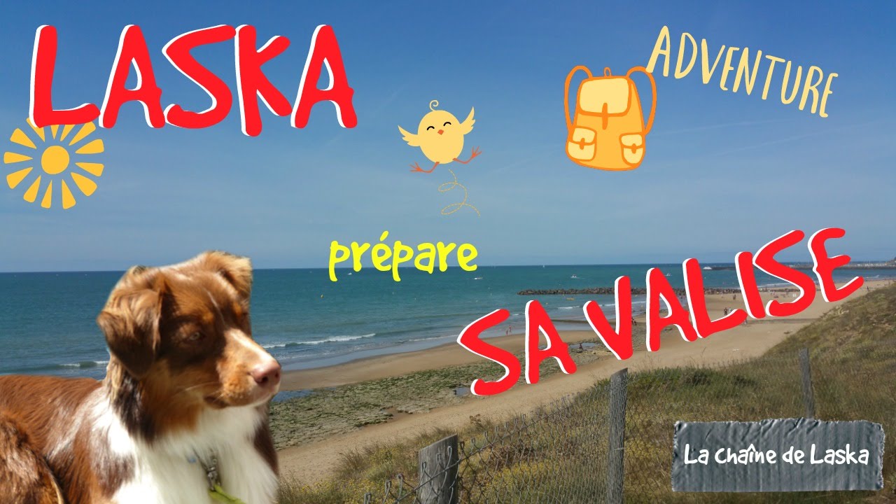 Laska prépare sa valise pour partir en Vendée [#79]